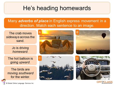 Don't miss our complete guide to adverb clauses with definitions, types, and examples. Example of adverb of place in sentence