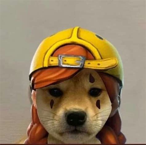 Fortnite Aura Dog Meme Meme Anjing Binatang Lucu Meme Anjing Lucu