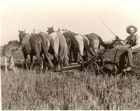 Short Stories of Harvey County, Kansas - A Series of Pictorial