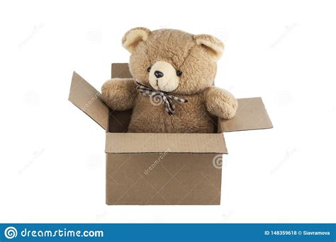 Teddy Bear In Box Isolated On White Background Stock Photo Image Of