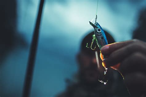 Shaver Lake Fishing All You Need To Know Lake Access