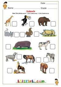 Cat is a carnivore.hope this helps u. Herbivores, Carnivores, Omnivores | Animal worksheets ...