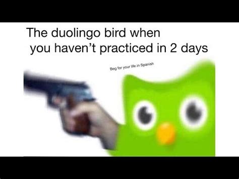 Duolingo Memes Evil Duolingo Owl Know Your Meme
