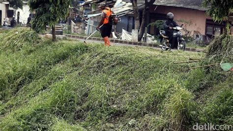 4 dokter kandungan saya memperbolehkan makan indomie dalam batasan 1 bulan sekali. Alasan Manusia Tidak Boleh Makan Rumput Layaknya Hewan