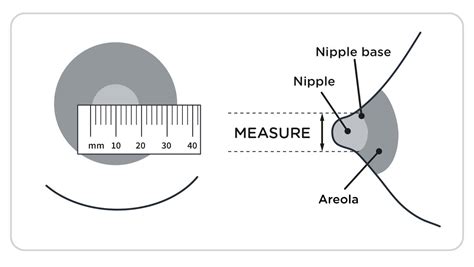 Breast Pump Horns Measuring Your Nipples Tommee Tippee