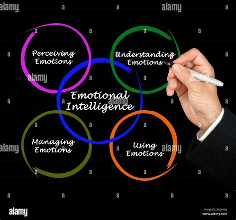 Diagram Of Emotional Intelligence Stock Photo Alamy