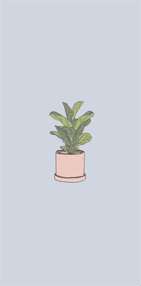 Pink Blue Plant Illustration Iphone Wallpaper Drawing Wallpaper