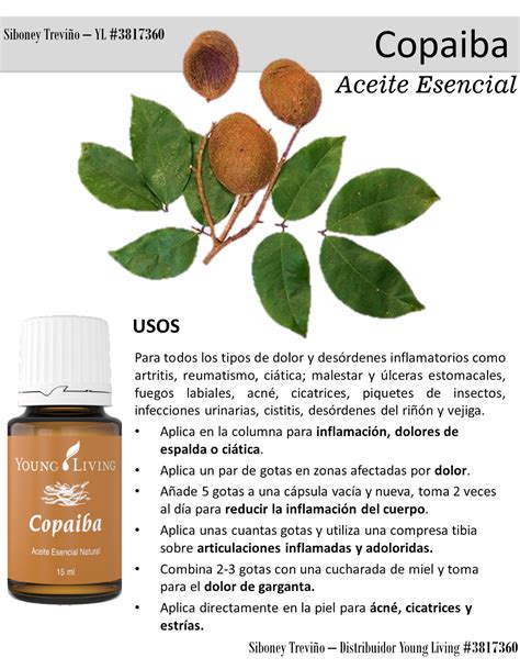 See more ideas about copaiba, living oils, young living oils. Pin de Maria Josep Garcia en Aromaterapia MJ | Aceite ...