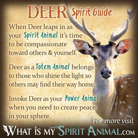1:03:27 fasil pachu 1 331 просмотр. Deer Symbolism & Meaning | Spirit, Totem & Power Animal