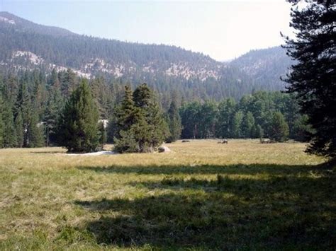 Just off the trail between the meadows is. Meadows