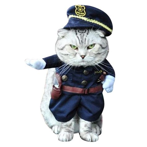 From a cat that looks like a lobster in a pot, to a scuba diving feline, these pets are put into t… The Best Cat Costumes for Halloween | Reader's Digest