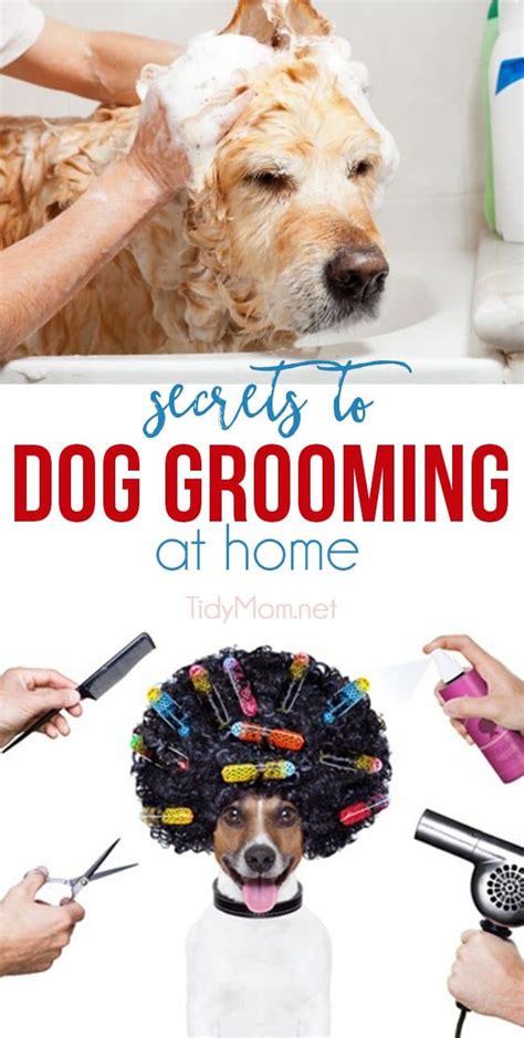 After all, our pets certainly. SECRETS TO DOG GROOMING AT HOME | TidyMom®