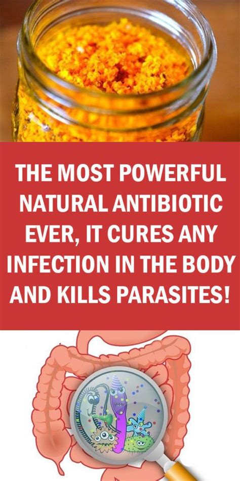 The Most Powerful Natural Antibiotic Ever It Cures Any Infection In
