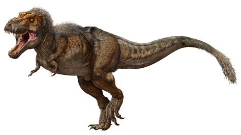 T Rex Discovered In Canada Is The Biggest And Oldest Ever Found