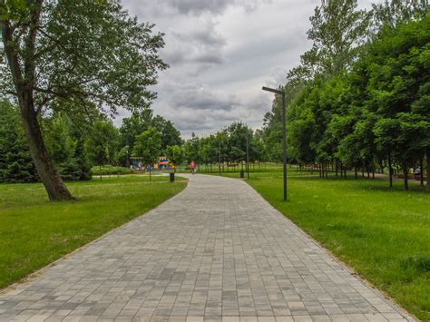 Free Images Walkway Public Space Natural Landscape Tree Grass