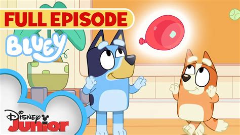 Bluey Keepy Uppy Full Episode S1 E3 Disneyjunior