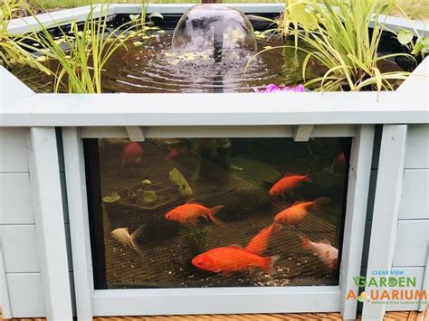Lily Clear View Garden Aquarium With Fountain Uv Filter Etsy Iris