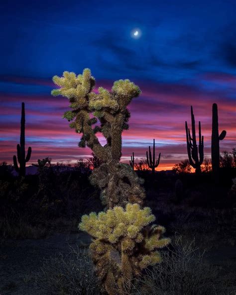 Desert Nights 😍 Visitarizona ⠀⠀ ⠀⠀ 📷 Mattwilczekphotography