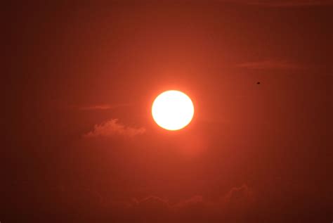 Bright Red Sun Free Stock Photo Public Domain Pictures