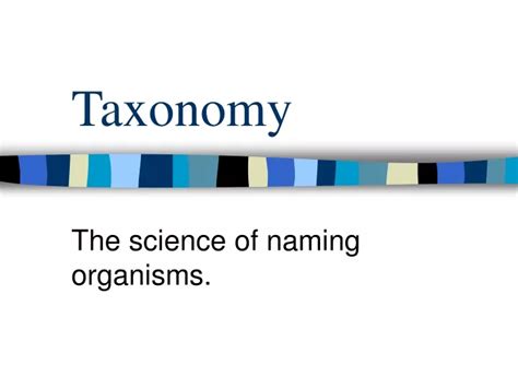 Ppt Taxonomy Powerpoint Presentation Free Download Id9640195