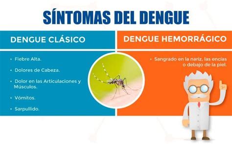 Dengue Sin Mosquito No Hay Enfermedad Ar