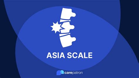 Asia Scale Youtube