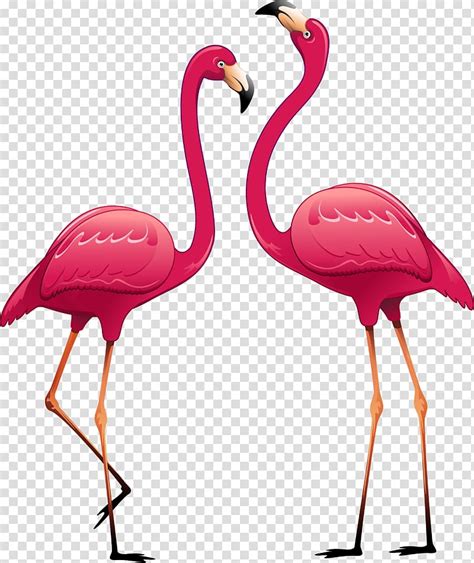 Flamingo Clipart Two Flamingo Two Transparent Free For Download On