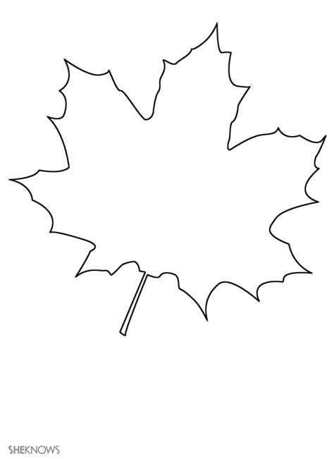 maple leaf Colouring Pages