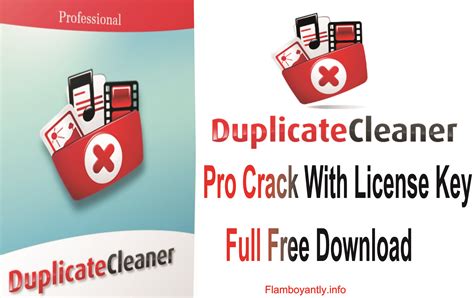 Duplicate Cleaner Pro 414 Crack With License Key Full Download 2021