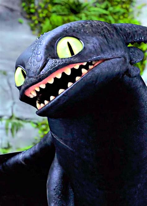 Toothless Toothless The Dragon Photo 32975543 Fanpop