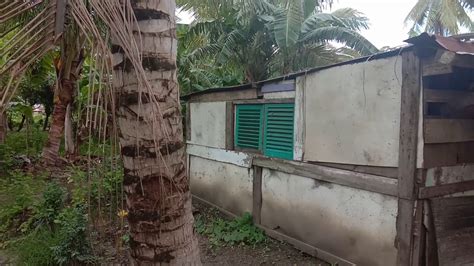 Rumah Orang Kaya / Dengan gambar desain desain rumah minimalis yang