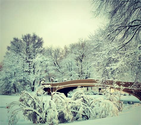Wallpaper Snow Winter Morning Frost Bridge Freezing Tree