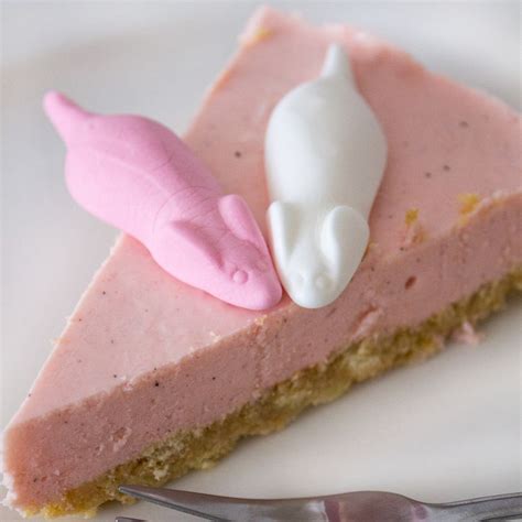 We did not find results for: Sweet Mouse Cheesecake | Rezept | Kuchen und torten, Torte ...