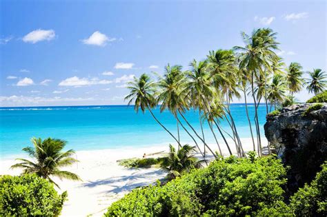 6 best barbados shore excursions for cruise ship passengers next stop barbados