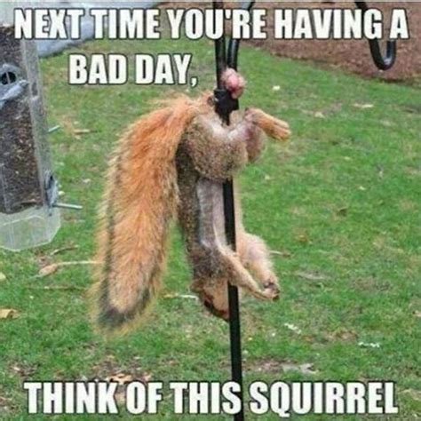 Next Time Youre Having A Bad Day Funny Pictures