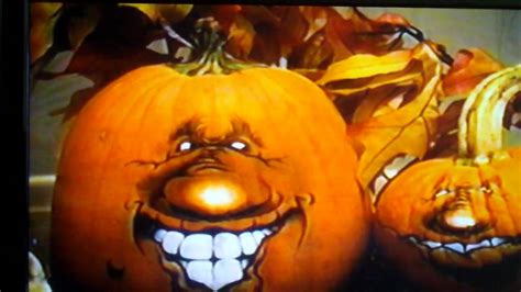 30 funny pictures of pumpkins