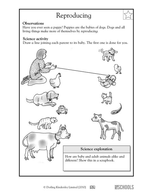Publishing unique web site content may be a tough job. Pin by lilsunflower on Coloring pages | Science worksheets, Kindergarten worksheets free ...