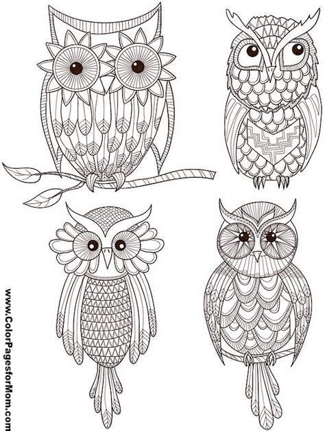 Owl Coloring Page 27 Owl Coloring Pages Coloring Pages Free