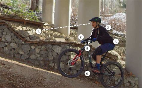 Uphill And Downhill Mountain Biking Skills Liv Cycling Official Site
