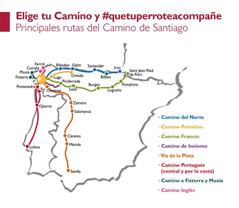 Principales Rutas Del Camino De Santiago Beca Travelguau