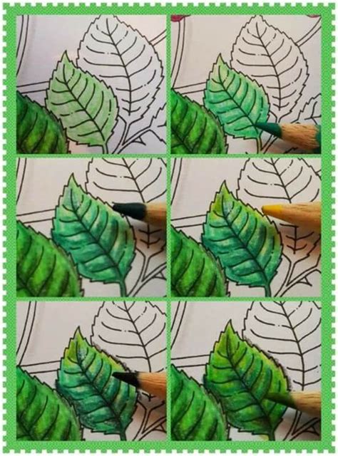 Shading Leaf Shading Color Pencil Art Coloring Inspiration