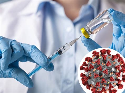 Состав вакцина «спутник v» станет надежным инструментом в борьбе с коронавирусом в индии. Когда начнется массовая вакцинация от Covid-19: на сколько ...