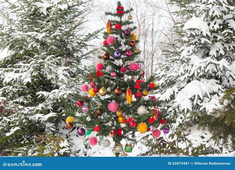 Outdoor Snow Covered Christmas Tree Stock Photo Image 62879481