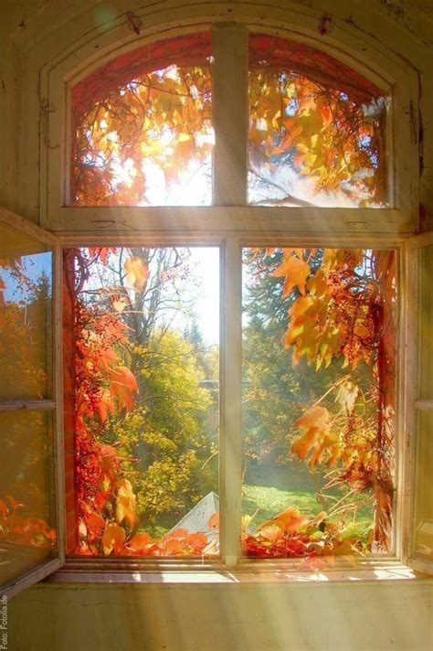 Feuilles Tomber Autumn Scenery Through The Window Fall Pictures