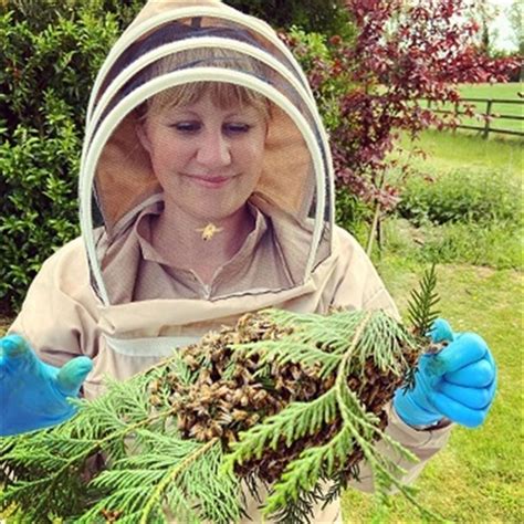 Beekeeping Courses And Experience Days Near You Into The Blue