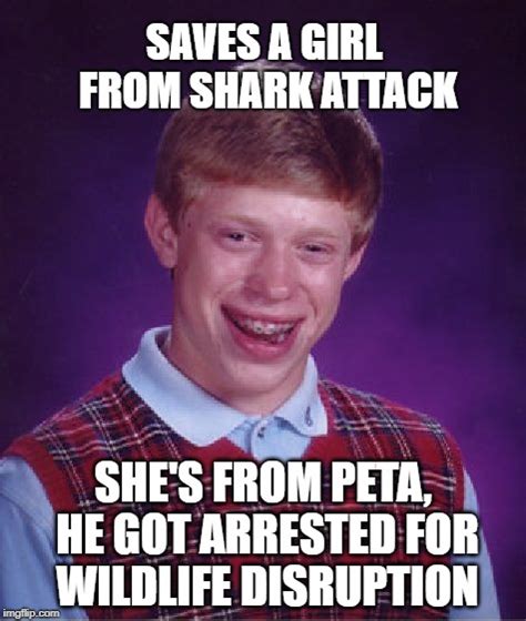 Shark Attack Imgflip