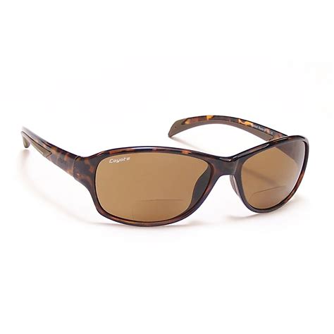 Bp 14 Polarized Reader Sunglasses
