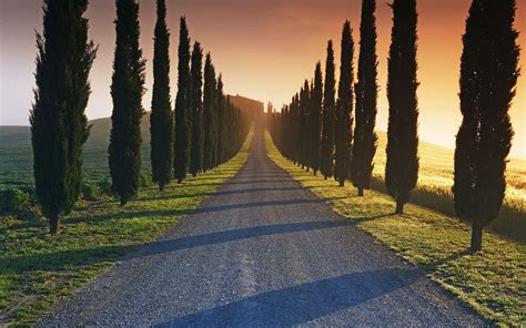 The road to the Italian estate wallpapers and images - wallpapers ...