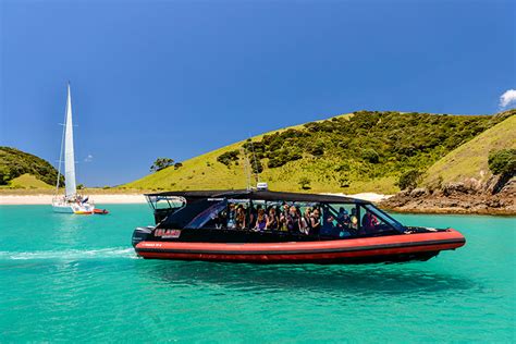 Cliffs And Caves Cruise By Fullers Greatsights Bay Of Islands Cruises