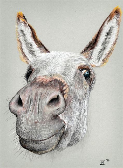 Cute Animal Drawings To Draw ~ 40 Cute Animals Paintings By Rihards